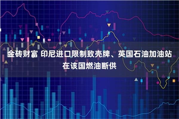 金砖财富 印尼进口限制致壳牌、英国石油加油站在该国燃油断供