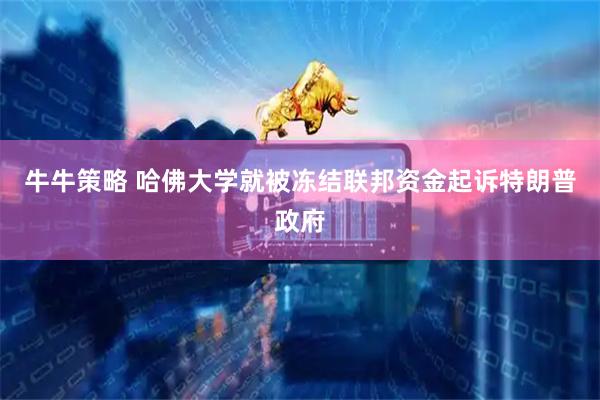 牛牛策略 哈佛大学就被冻结联邦资金起诉特朗普政府