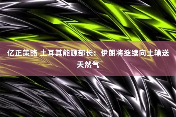 亿正策略 土耳其能源部长：伊朗将继续向土输送天然气