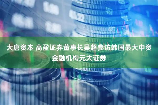 大唐资本 高盈证券董事长吴超参访韩国最大中资金融机构元大证券