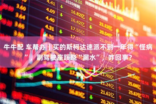 牛牛配 车帮办｜买的斯柯达速派不到一年得“怪病”，副驾驶座蹊跷“漏水”，咋回事？