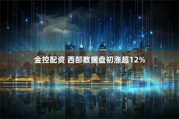 金控配资 西部数据盘初涨超12%
