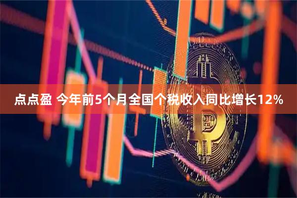 点点盈 今年前5个月全国个税收入同比增长12%