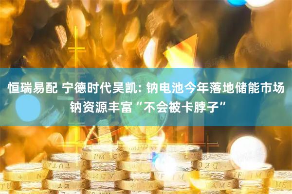 恒瑞易配 宁德时代吴凯: 钠电池今年落地储能市场 钠资源丰富“不会被卡脖子”